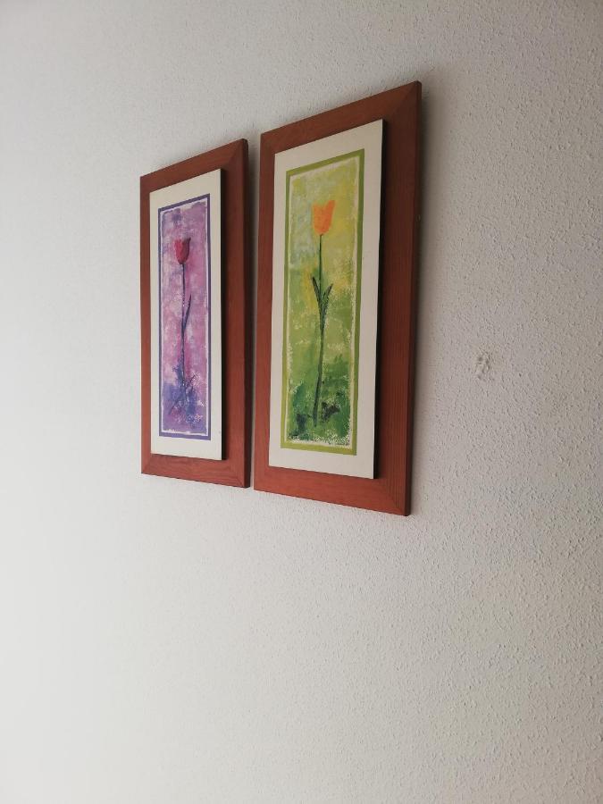 Apartamento Naturista En Primera Linea En Natura World! ベラ エクステリア 写真