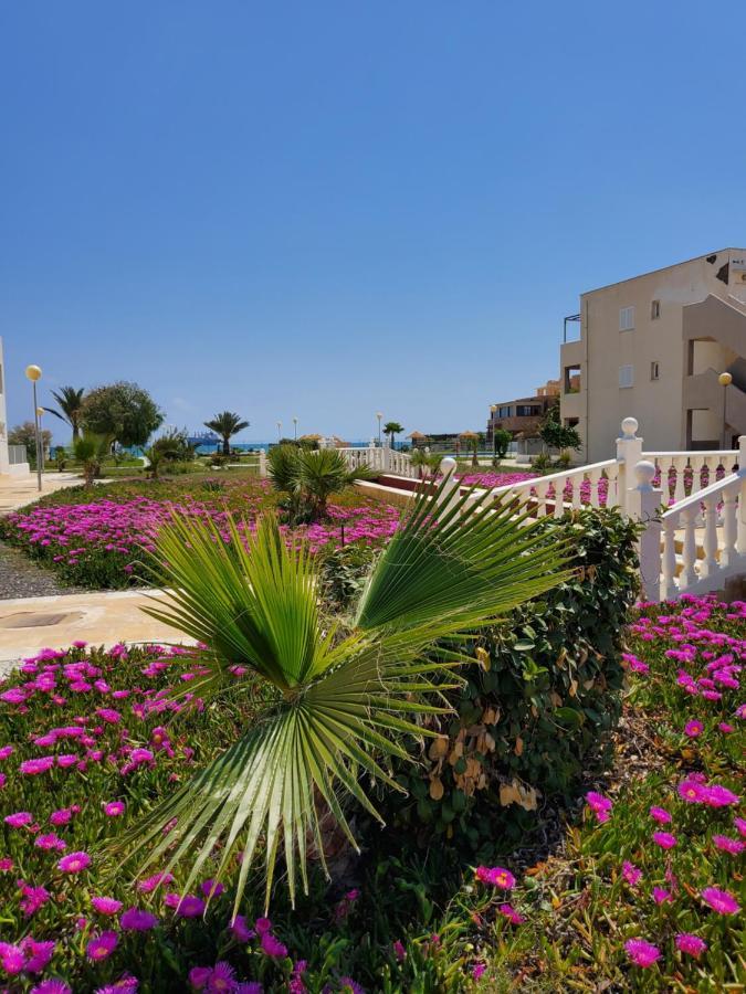 Apartamento Naturista En Primera Linea En Natura World! ベラ エクステリア 写真